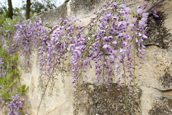 Les jardins de Payan